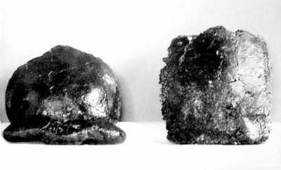 第一个发现北京人头盖骨化石的中国学者是谁