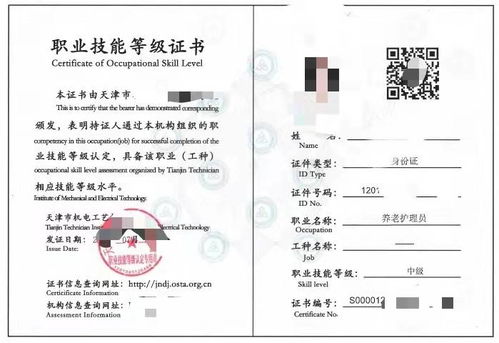 职业技能等级证书认证体系在中国的崛起