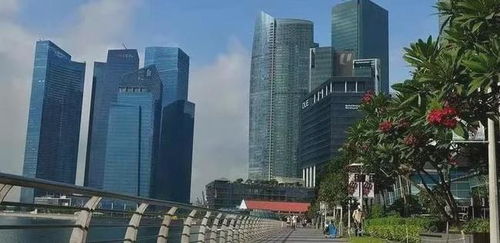 为什么不建议去新加坡留学