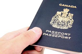 加拿大申请留学需要什么